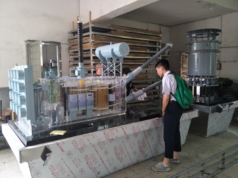 超高压换流变压器模型