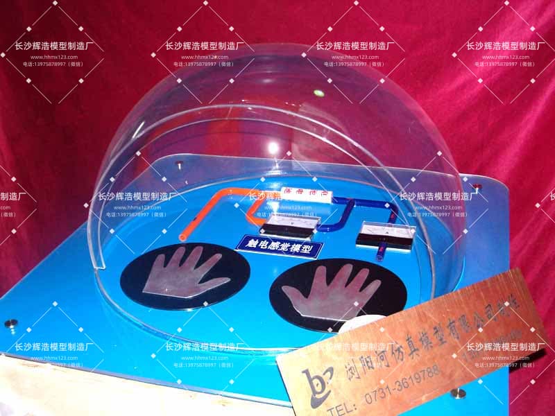 电的认知互动模型